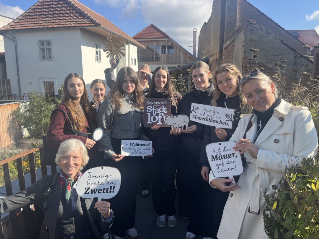4 Sonnentor Stadt Lofts in Zwettl